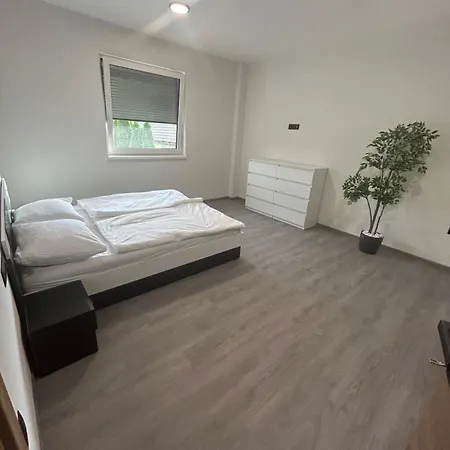 Ema Apartament Bohinj